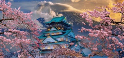 Sakura Season 2026